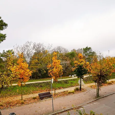 Playa Baltis 9 By Baltic Appartement